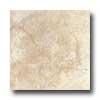 Portobello Capri 18 X 18 Beige Tile & Stone