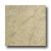 Portobello Catalina 8 X 12 Palm Tile & Stone