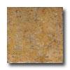 Portobello Empire 6 X 6 Aztec Tile & Stone