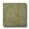 Portobello Empire 6 X 6 Mayan Tile & Stone