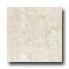 Portobello Marmi 24 X 24 Perlino Bianco Tile & Stone