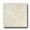 Portobello Montana 13 X 13 Rawhide Tile & Stone