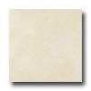 Portobello New Age Stone 18 X 18 Externo New Age Diamond Tile & Stone