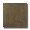 Portobello New Age Stone 12 X 12 New Age Wood Tile & Stone