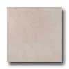 Portobello New Age Stone 18 X 18 Externo New Age Straw Tile & Stone