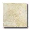 Portobello Pietra 8 X 10 Dseert Tile & Stone