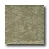 Portobeello Rainforest 3 X 3 Amazon Tile & Stone