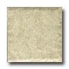 Portobello Rainforest 3 X 3 Gardenia Tile & Stone