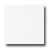 Portobello Whi5e Line 8 X 10 Antartida Bianco Tile & Stone