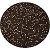 Radici Usa Elegance 8 Round Chocolate Truffle Region Rugs