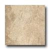 Ragno Borgoforte 18 X 18 Cassino Beige Tile & Stone