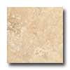 Rzgno Eclipse 20 X 20 Desert Shade Bg Tile & Face with ~