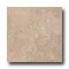 Ragno Marmi Di Ra;olano 20 X 20 Radda None Tile & Stone