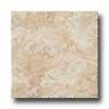 Ragno Princeps 13 X 13 Aureliano To Tile & Stone