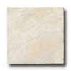 Ragno Princeps 20 X 20 Augusto Bg Tile & Stone