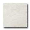 Ragno Princeps 20 X 20 Cesare Bi Tile & Stone