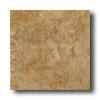 Ricxhetti Palazzi 18 X 18 Foscari Tile & Stone