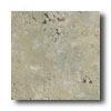 Ricchetti Vitruvious 16 X 16 Hortus Tile & Stone