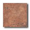 Ricchetti Vitruvious 16 X 16 Cubicula Tile & Stone