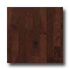 Robbins Urban Exotics Collection Strip Beech 2  Sierra Hardwood Flooring