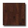 Robbins Urban Exotics Collection Plank Beech 3  Sierra Hardwood Flooring