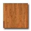 Robbins Urban Exotics Collection Plank Cherry 3  Natural Hardwood Flooring