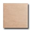 Roca Avila 18 X 18 Beige Tile & Stone