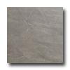 Roca Avila 18 X 18 Gris Tile & Stone