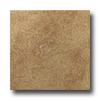 Roca Gotica 13 X 13 Marron Tile & Stone