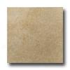 Roca Gotica 18 X 18 Beige Tile & Stone