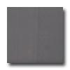 Roca Rainbow 12 X 12 Gris Tile & Stone