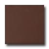 Roca Rainbow 12 X 12 Marron Tile & Stone