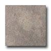 Rock & Rock Montana 21 X 21 Gris Tile & Stone