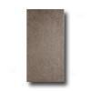 Rock & Rock Pacmstone 12 X 24 Bambu Tile & Stone