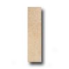 Rock & Rock Sandstone 12 X 48 Arena Tile & Stone