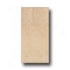 Rock & Rock Sandstone 12 X 24 Arena Tile & Stone