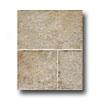 Rock & Rock Shellstone Multi-format Marron Tile & Stone