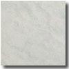 Roppe Solid Vinyl Terra Naturals 12 X 12 Glacier Rubber