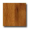 Scandian Wood Floors Bonita Gold 3 1/4 Tigerwood Hardwood Flooring