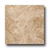 Serenissima Ceramics Crosscut 12 X 12 Noce Tile & Stone