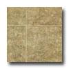 Tarkett City View - Ceramica Boulevard 6 Arizona Imbrown Vinyl Flooring