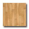 Tarkett Infinity - American Elm Golden Elm Vinyl Flooring