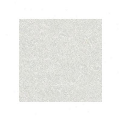 Tarkett Performa - Freeport White Vinyl Flooring