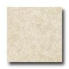 Tarkett Choice Plus Nt - Plainfield 6 Beige Vinyl Floorimg