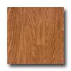 Tarkett Preference Plus Ntt - Oaken 12 Cayenne Vinyl Flooring