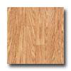 Tarkett Preference Plus Nt - Oaken 12 Vanilla Vinyl Flooring