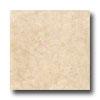 Tarkett Prefrrence Plus Nt - Plqinfield 6 Cream Vinyl Flooring