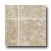 Tarkett Preference Plus Nt - Mountain Side 6 Taupestone Vingl Flooring