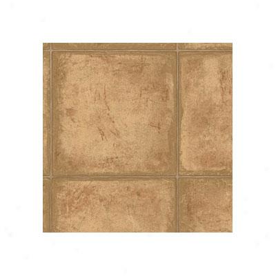 Tarkett Preference Plus - Pallazo 6 Peanut Shell Vinyl Floorint