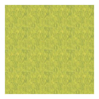 Tarkett Vinyl Composition Tile - Standard Expressions 1614 Vinyl Flooring